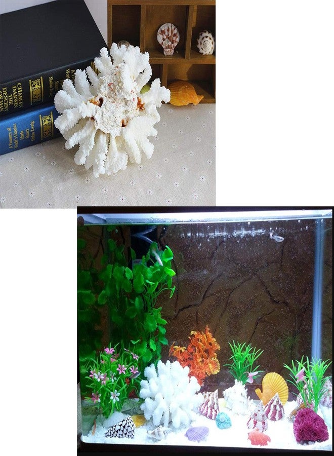 Besimple Pack of 2 Artificial Coral Ornament, Aquarium Resin Coral Decor Underwater Sea Plants Fish Tank Decoration Aquarium Plants - Image 5